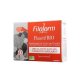 Fluactif - 20 ampoules - Circulation - Fitoform